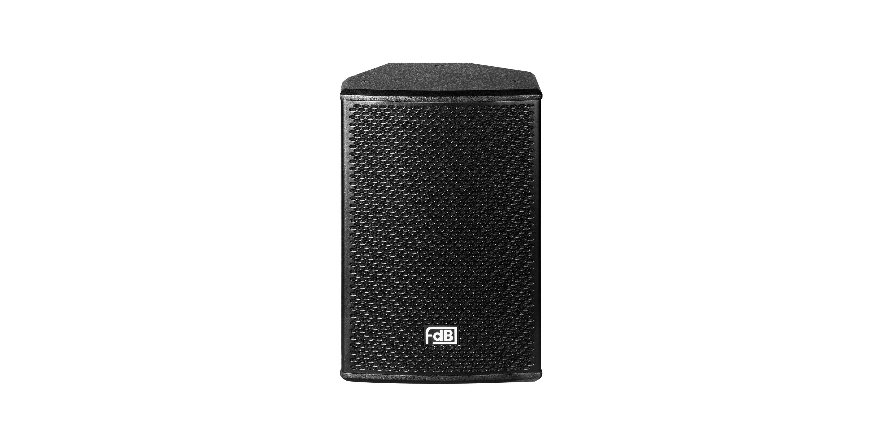 Haut-parleur large bande bidirectionnel U110V 1x10 pouces 250W